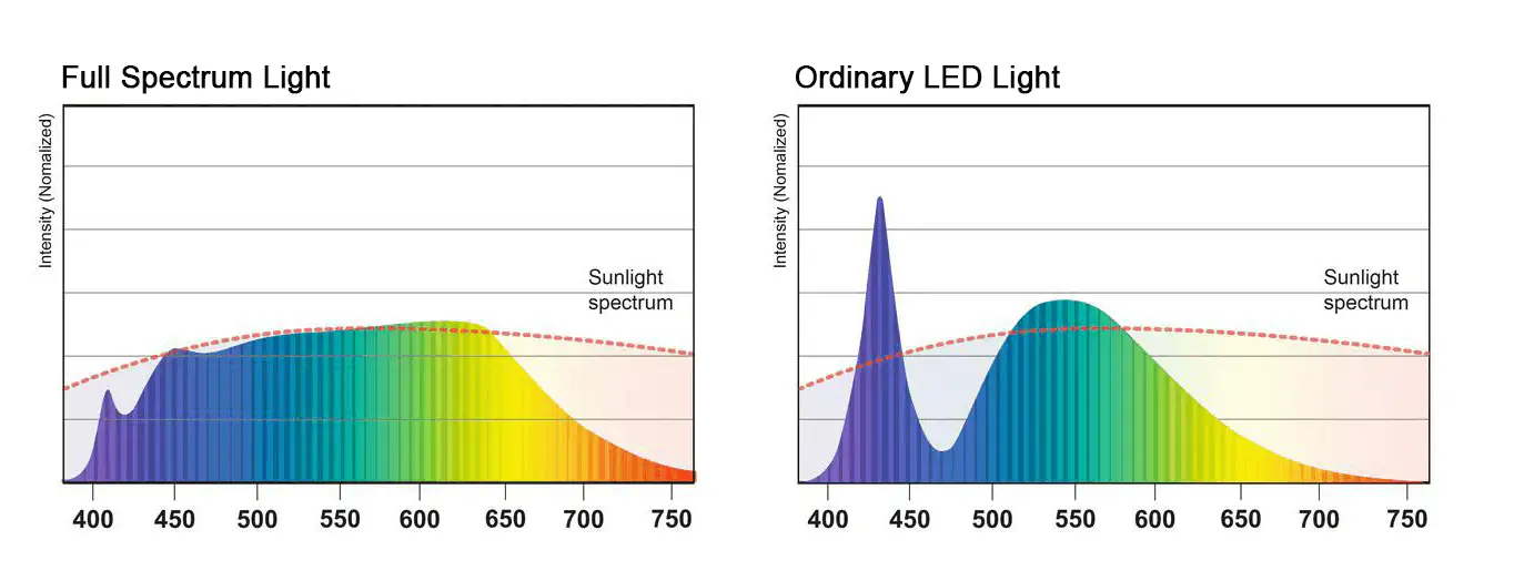 Full spectrum light VS ordinary LED light